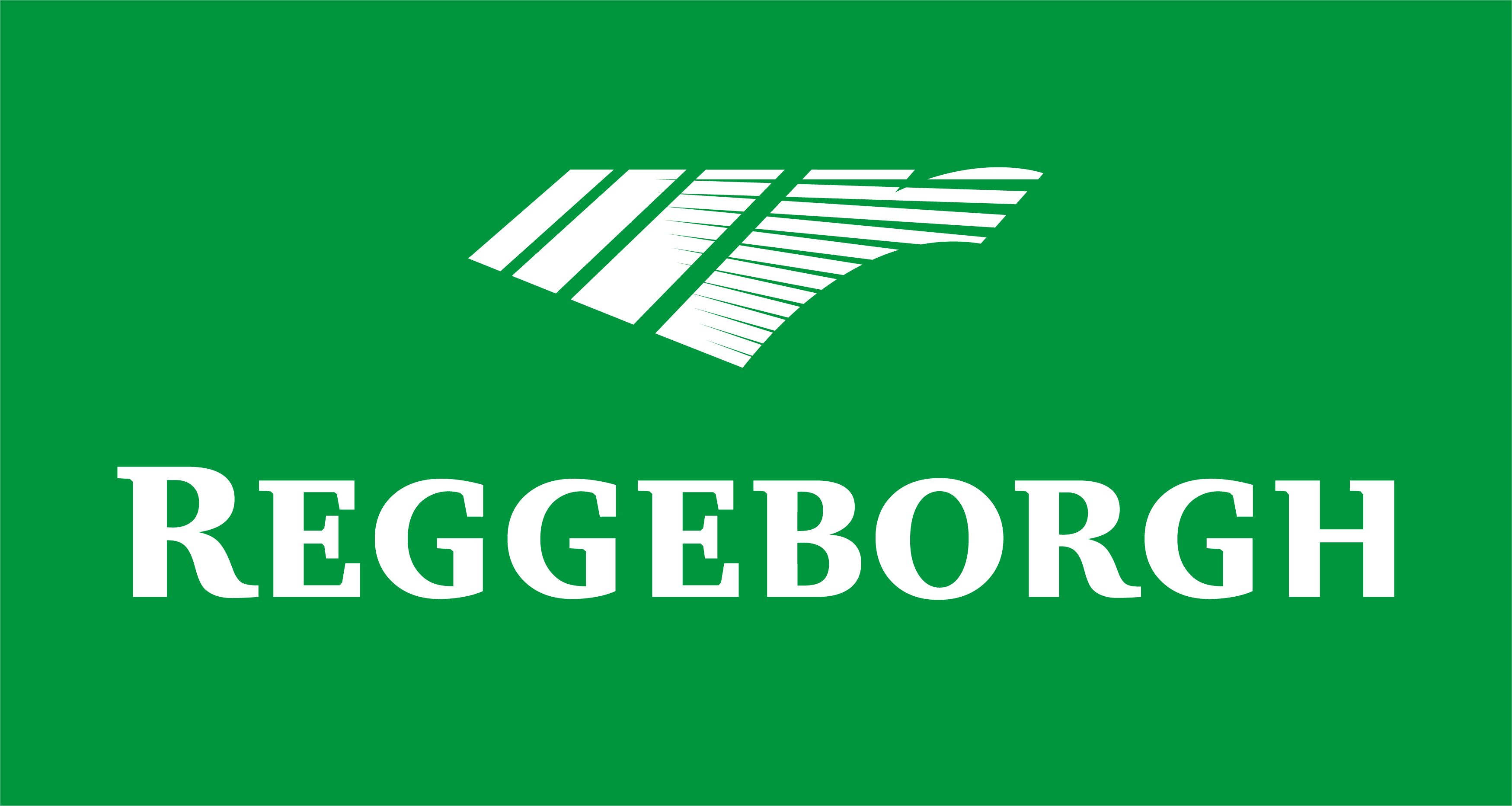 Reggeborgh